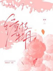 缠枝牡丹什么时候种植最好